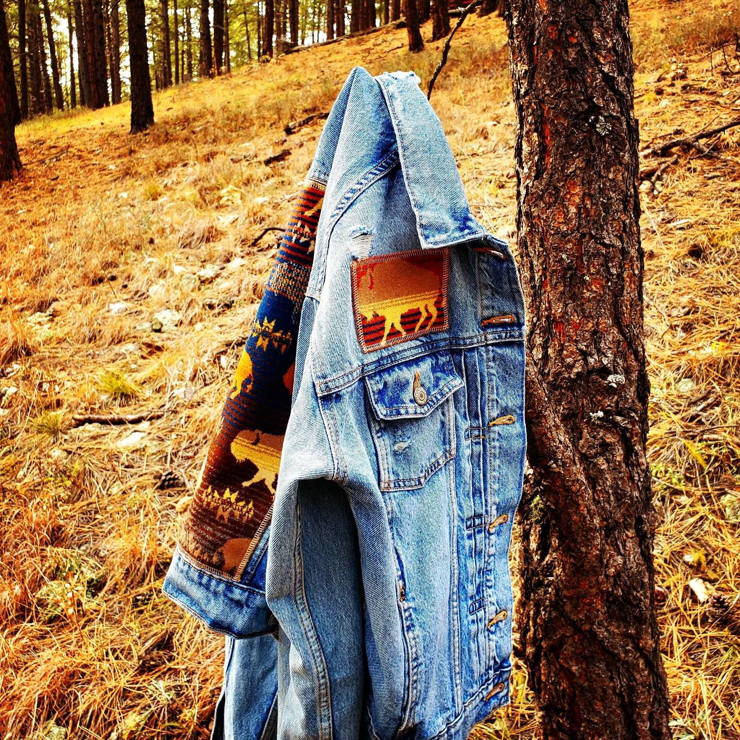 Western Denim Jacket, Upcycled Denim Jacket, Jean Jacket, Rodeo Jacket, Cowgirl Denim, Western Wear, Equestrian Jacket, Buffalo Denim Jacket